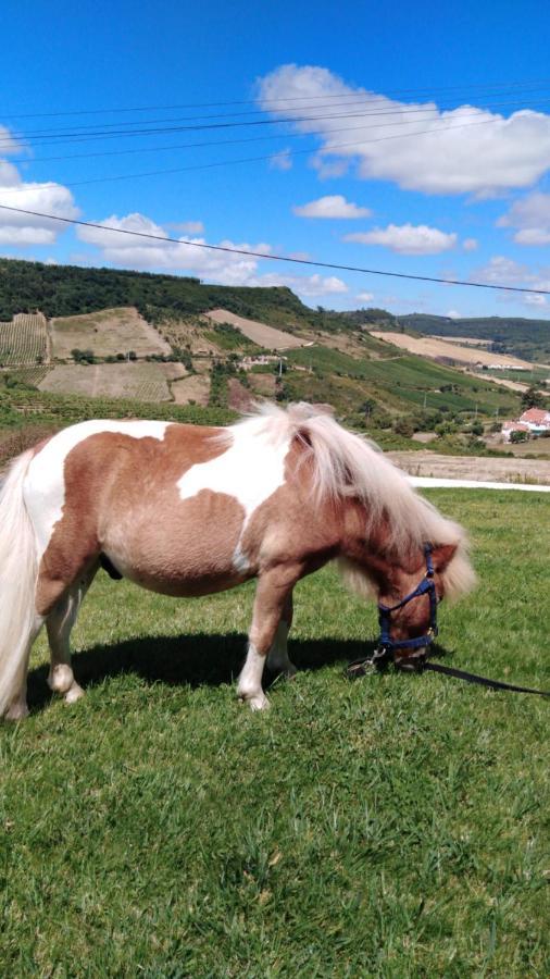 Casinha de férias no campo - Quintinha dos Cavalos - Arruda dos Vinhos Sabugos Esterno foto