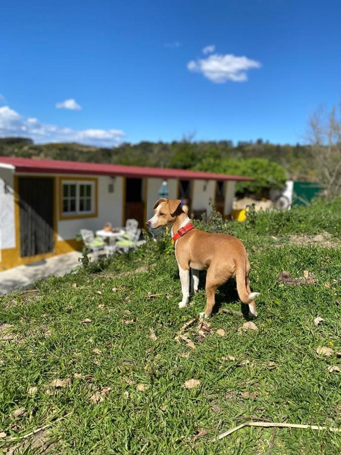 Casinha de férias no campo - Quintinha dos Cavalos - Arruda dos Vinhos Sabugos Esterno foto