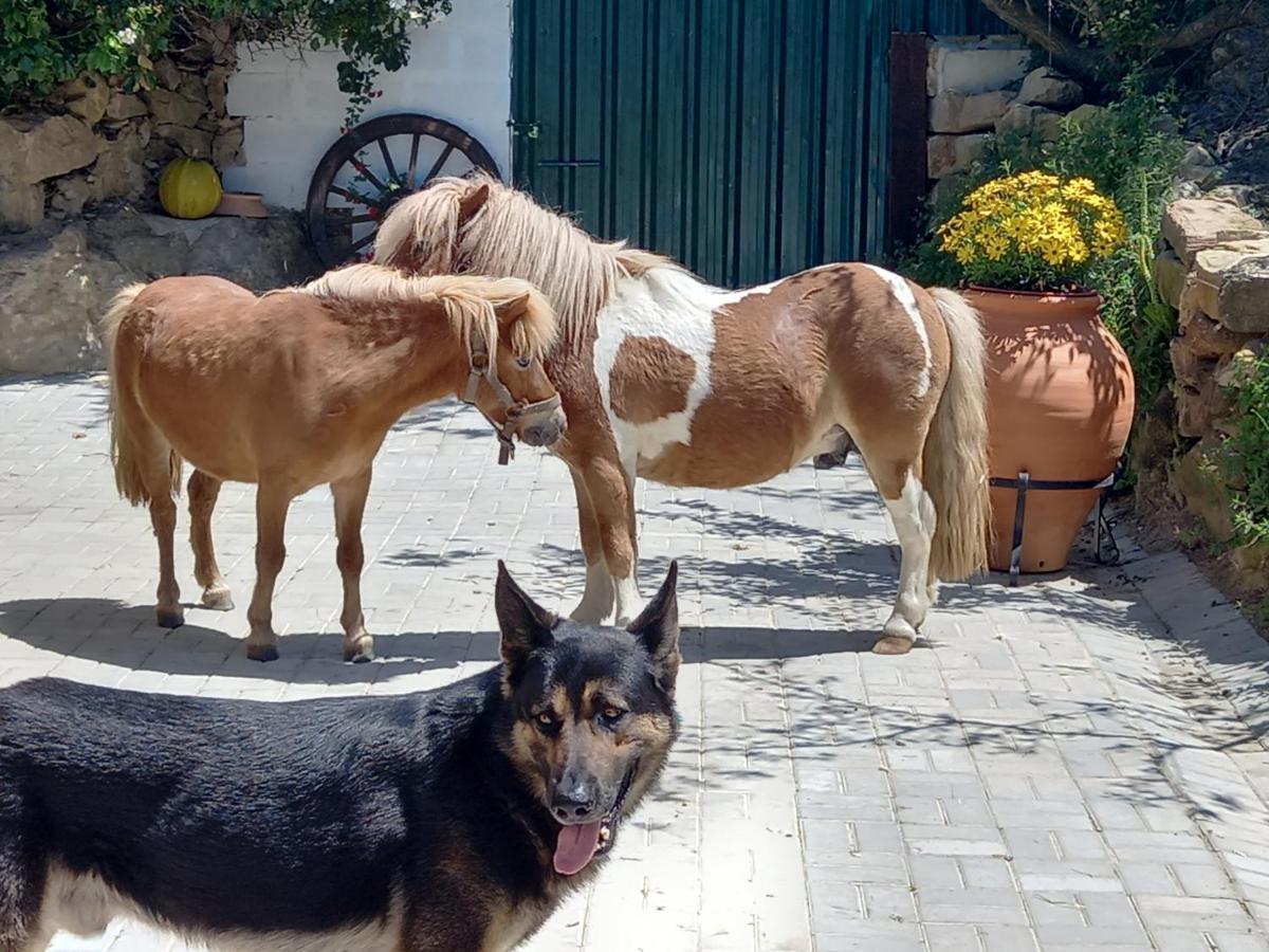 Casinha de férias no campo - Quintinha dos Cavalos - Arruda dos Vinhos Sabugos Esterno foto
