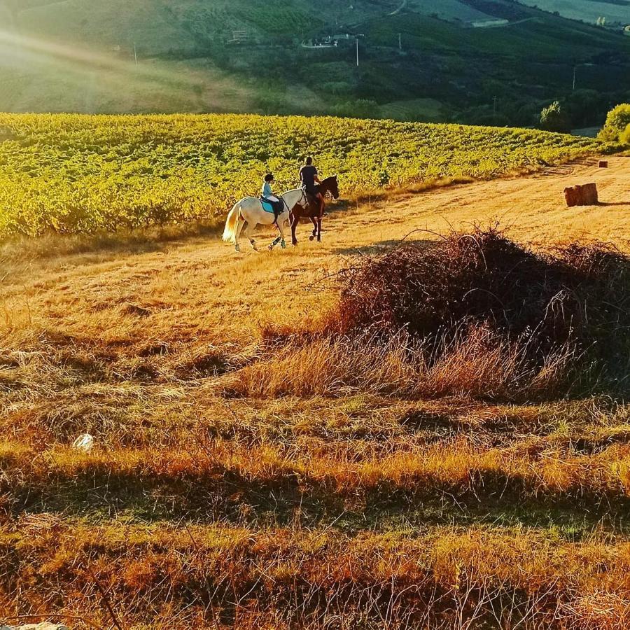 Casinha de férias no campo - Quintinha dos Cavalos - Arruda dos Vinhos Sabugos Esterno foto