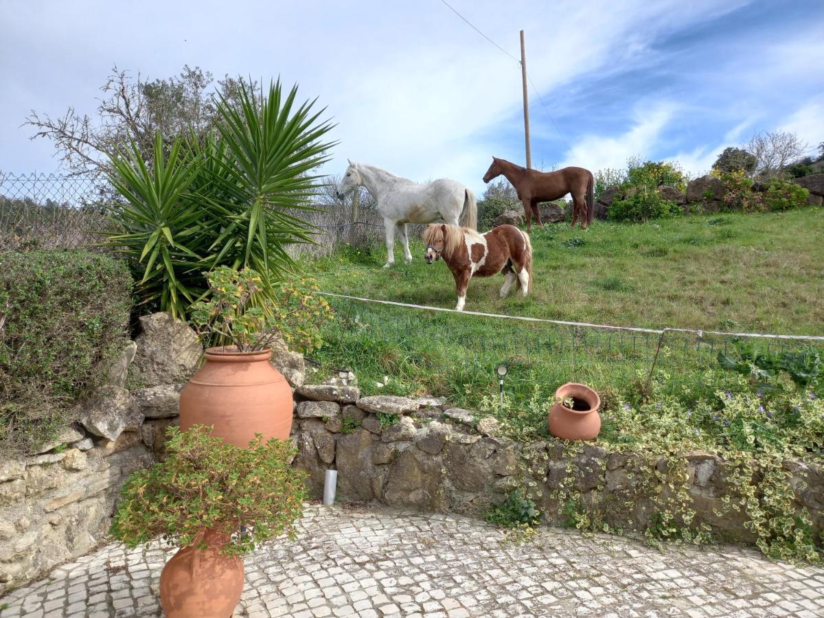 Casinha de férias no campo - Quintinha dos Cavalos - Arruda dos Vinhos Sabugos Esterno foto