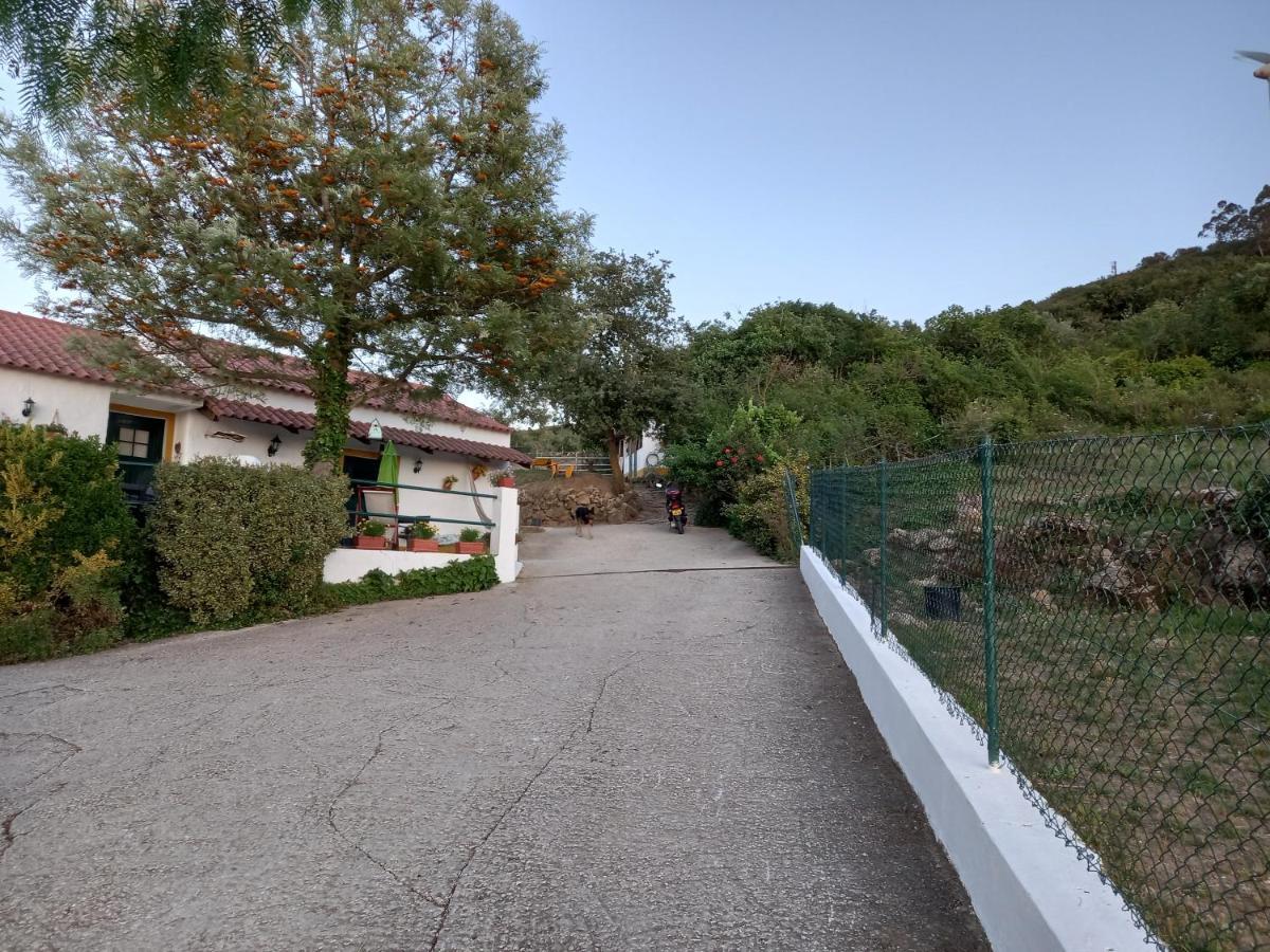 Casinha de férias no campo - Quintinha dos Cavalos - Arruda dos Vinhos Sabugos Esterno foto